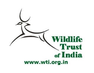 Wildlife Trust of India (WTI)